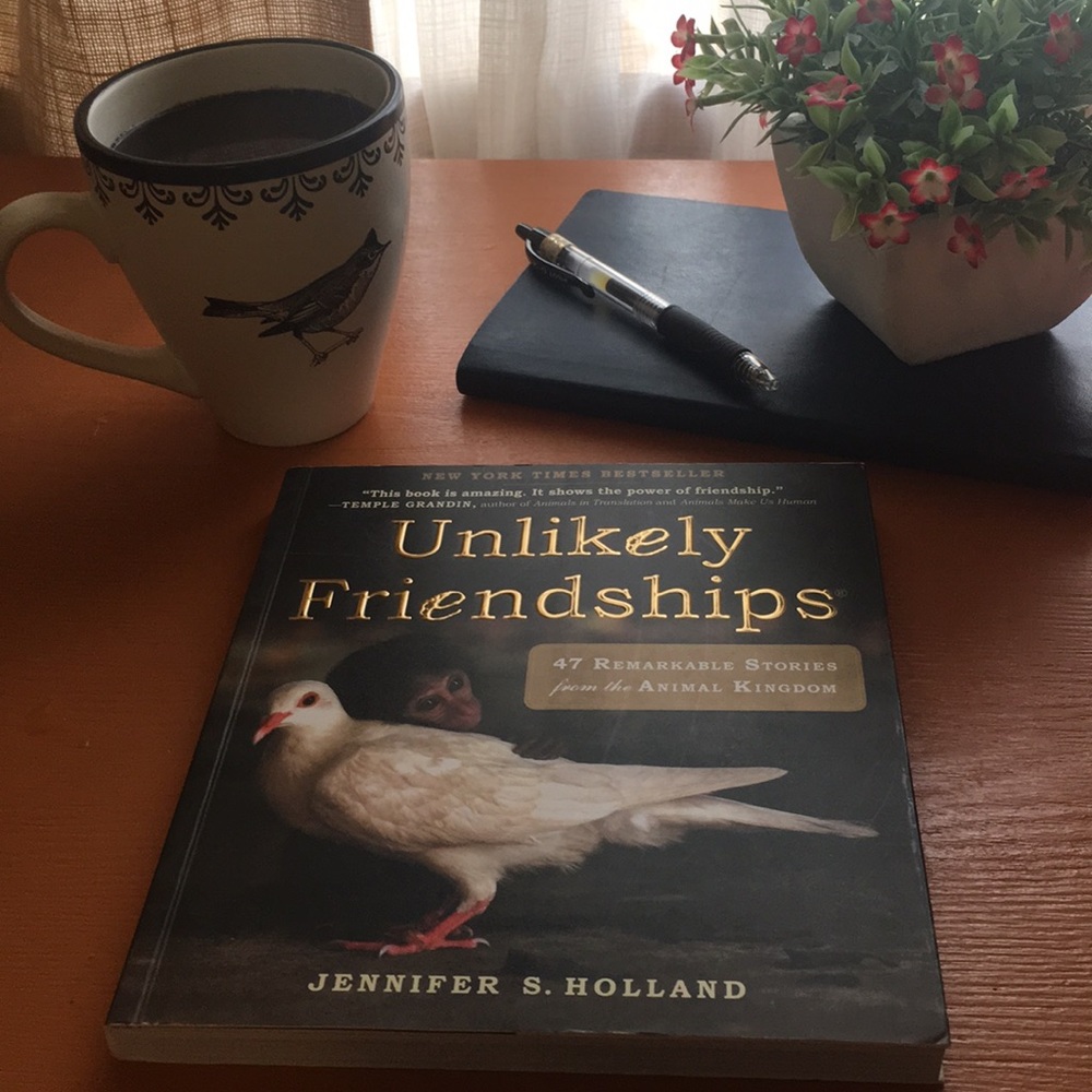 Unlikely Friendships Coffee Table Book 📚